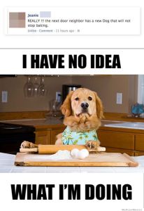 http://weknowmemes.com/wp-content/uploads/2012/07/the-neighbors-dog-will-not-stop-baking.jpg